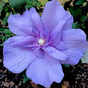 Meet your Posher, Fm